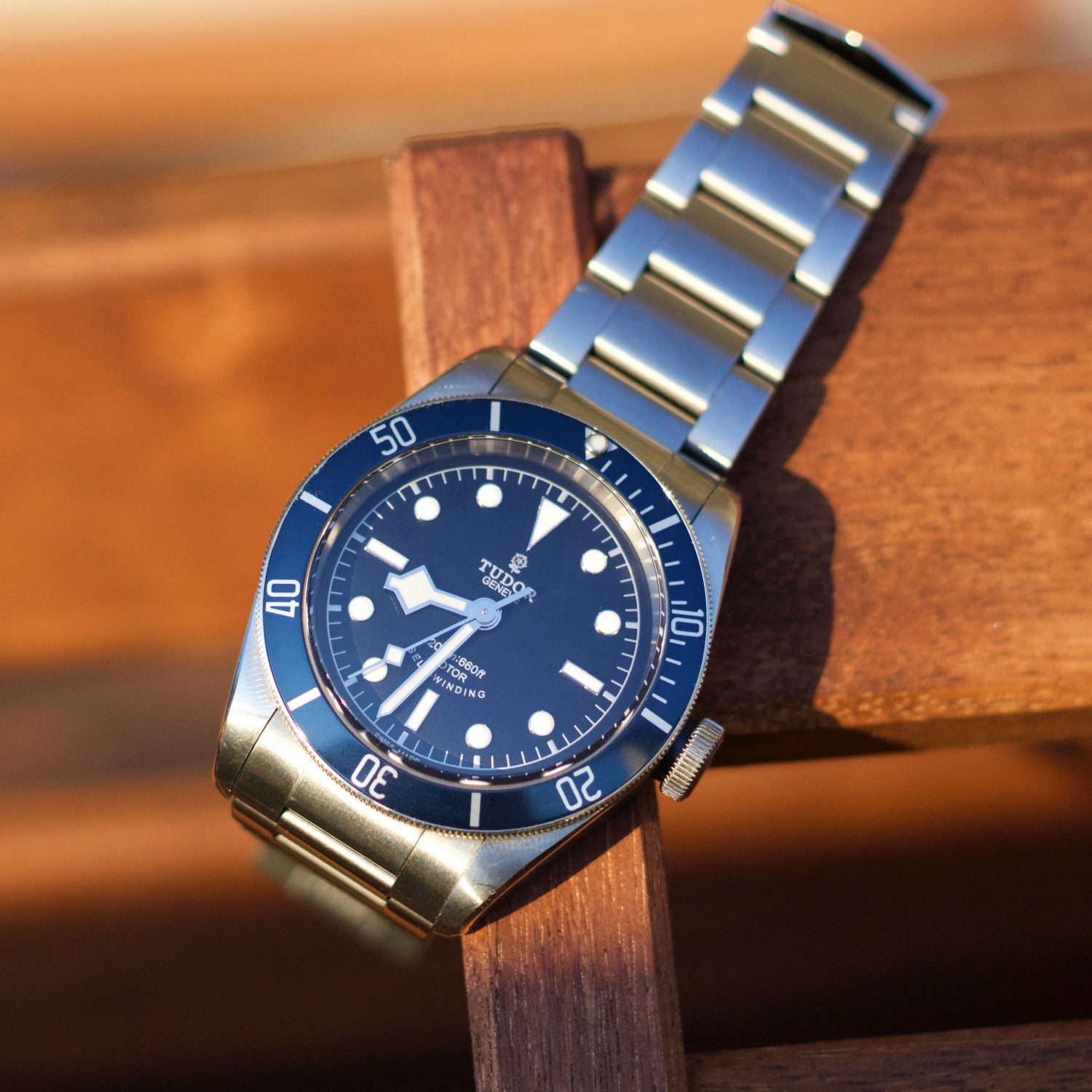 Tudor black Bay 79220B