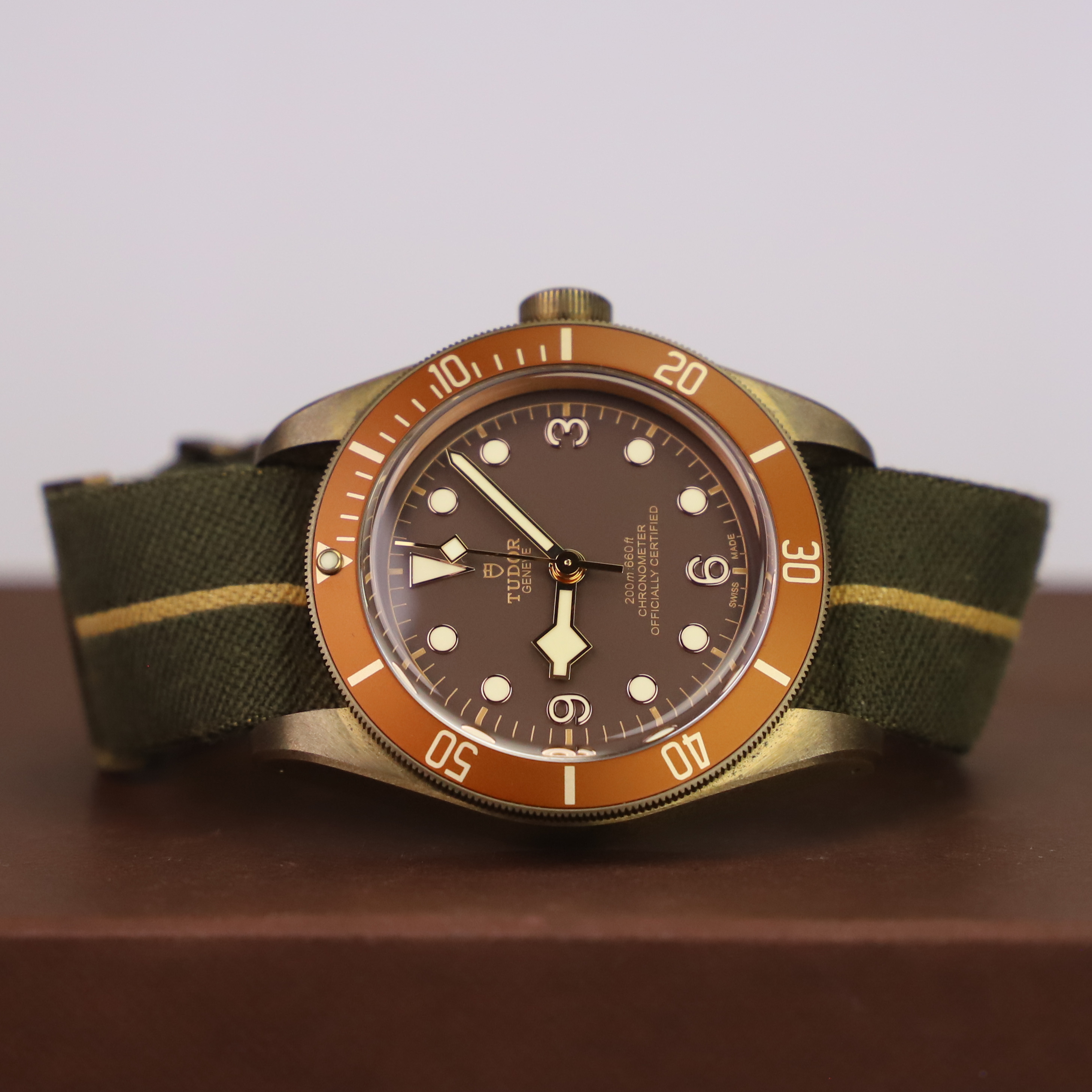 Tudor bronzo 2024