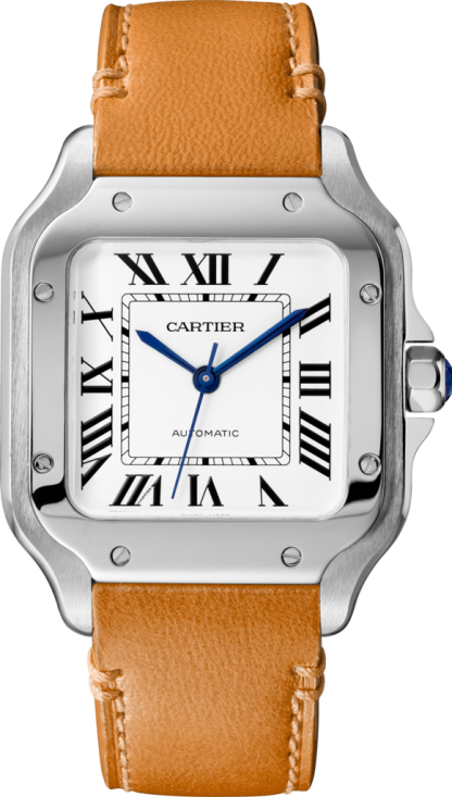 Cartier Santos De Cartier Medium Size 2018