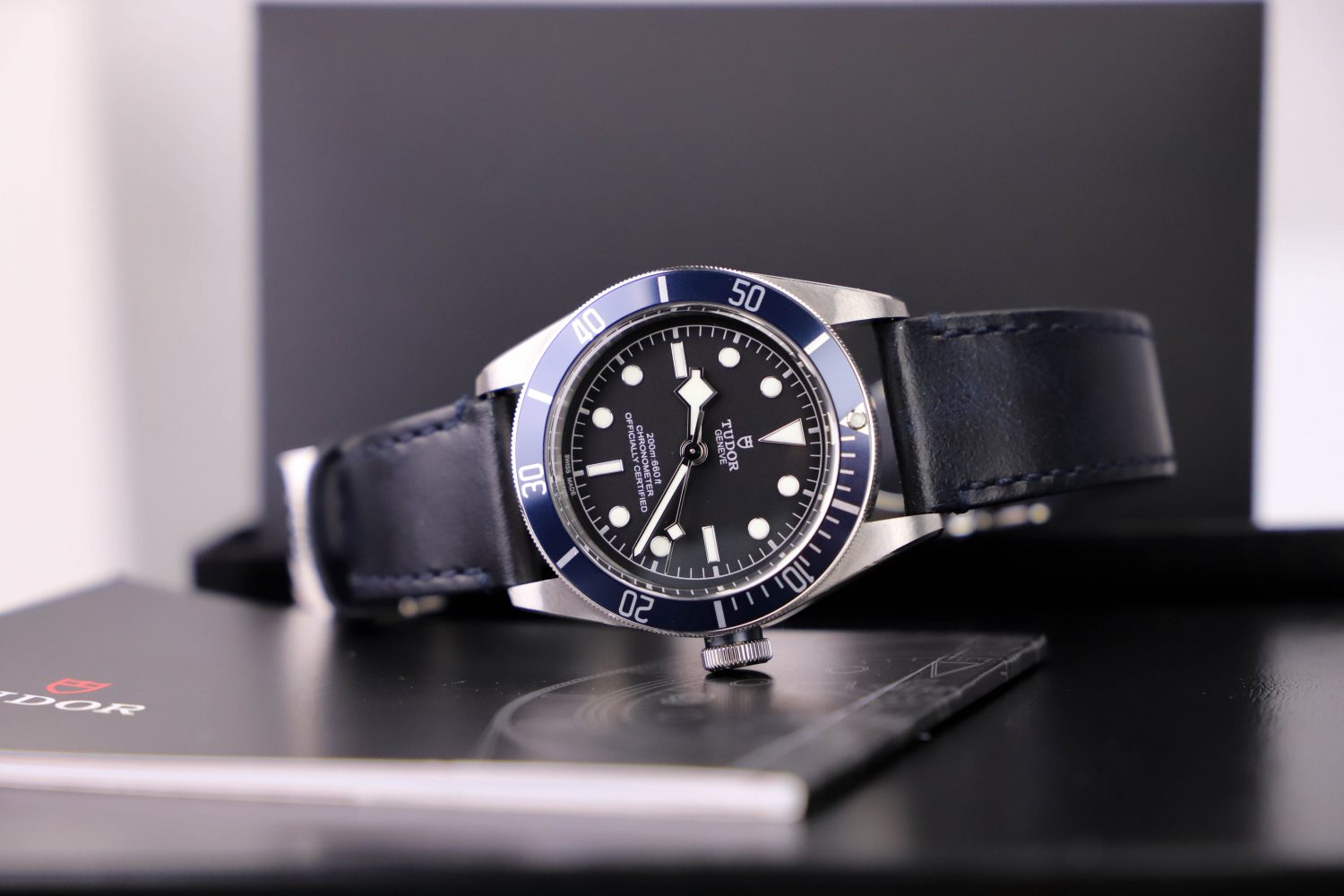 Tudor Black Bay 79230B