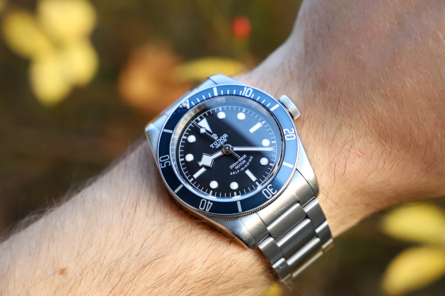 is tudor a poor man's rolex