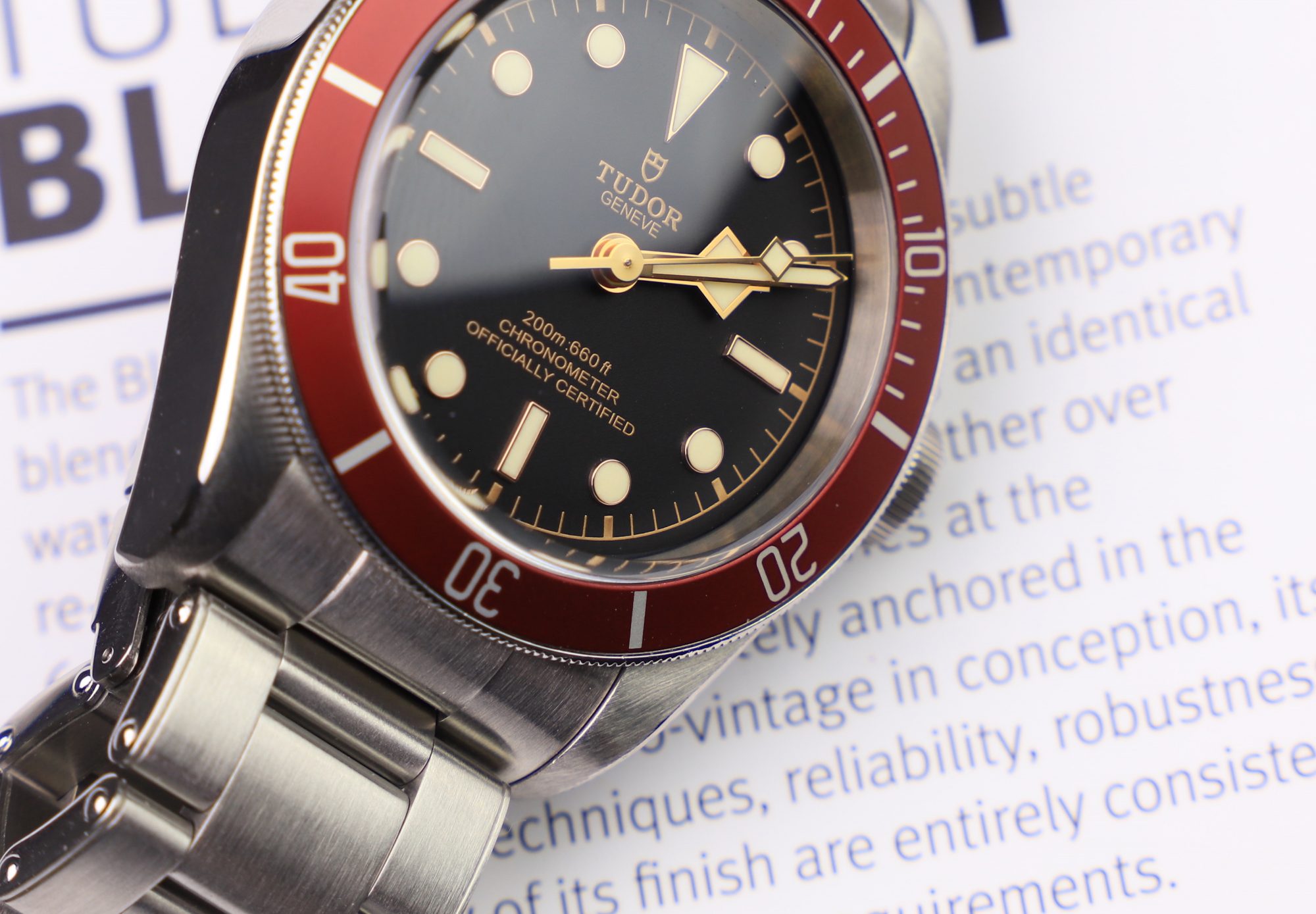 Tudor Black Bay 79230 dial