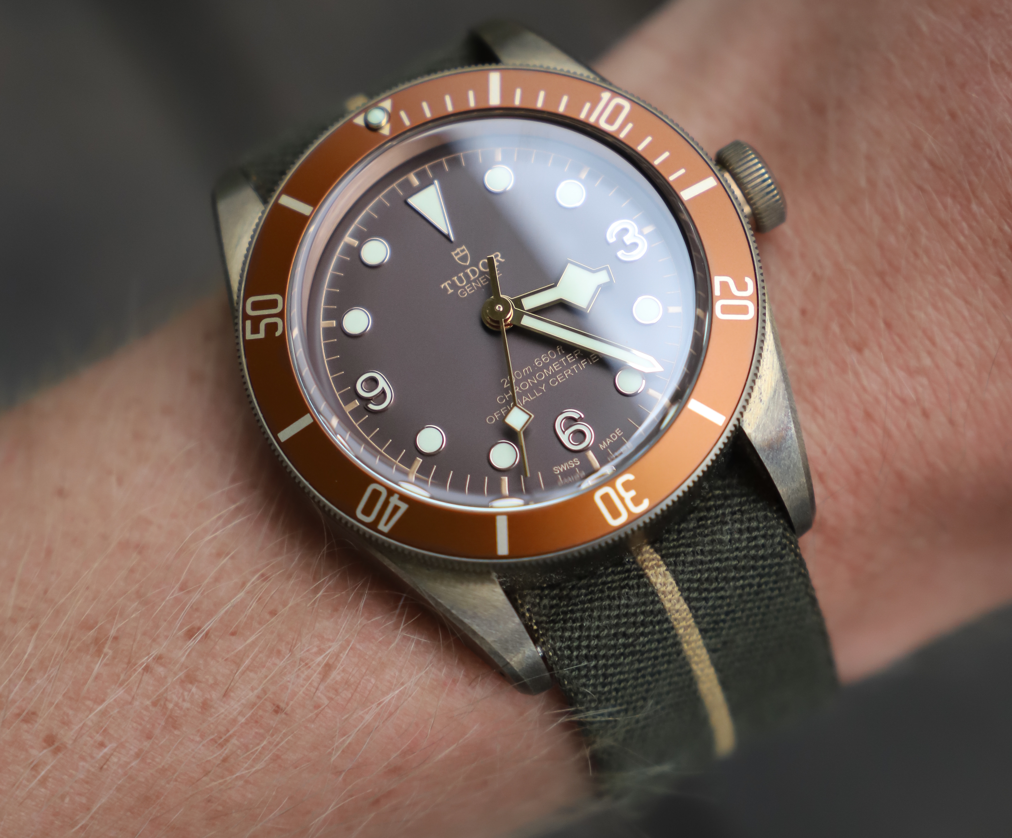 Tudor Black Bay Bronze Wristshot