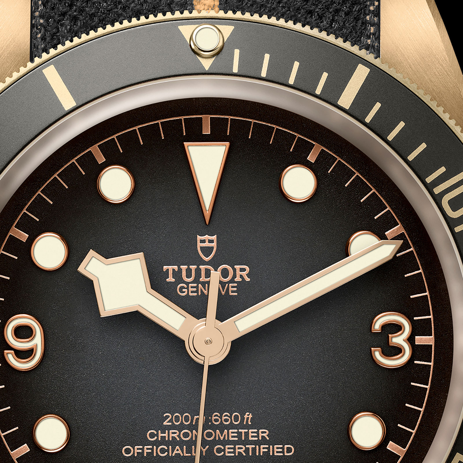Tudor 79250BA