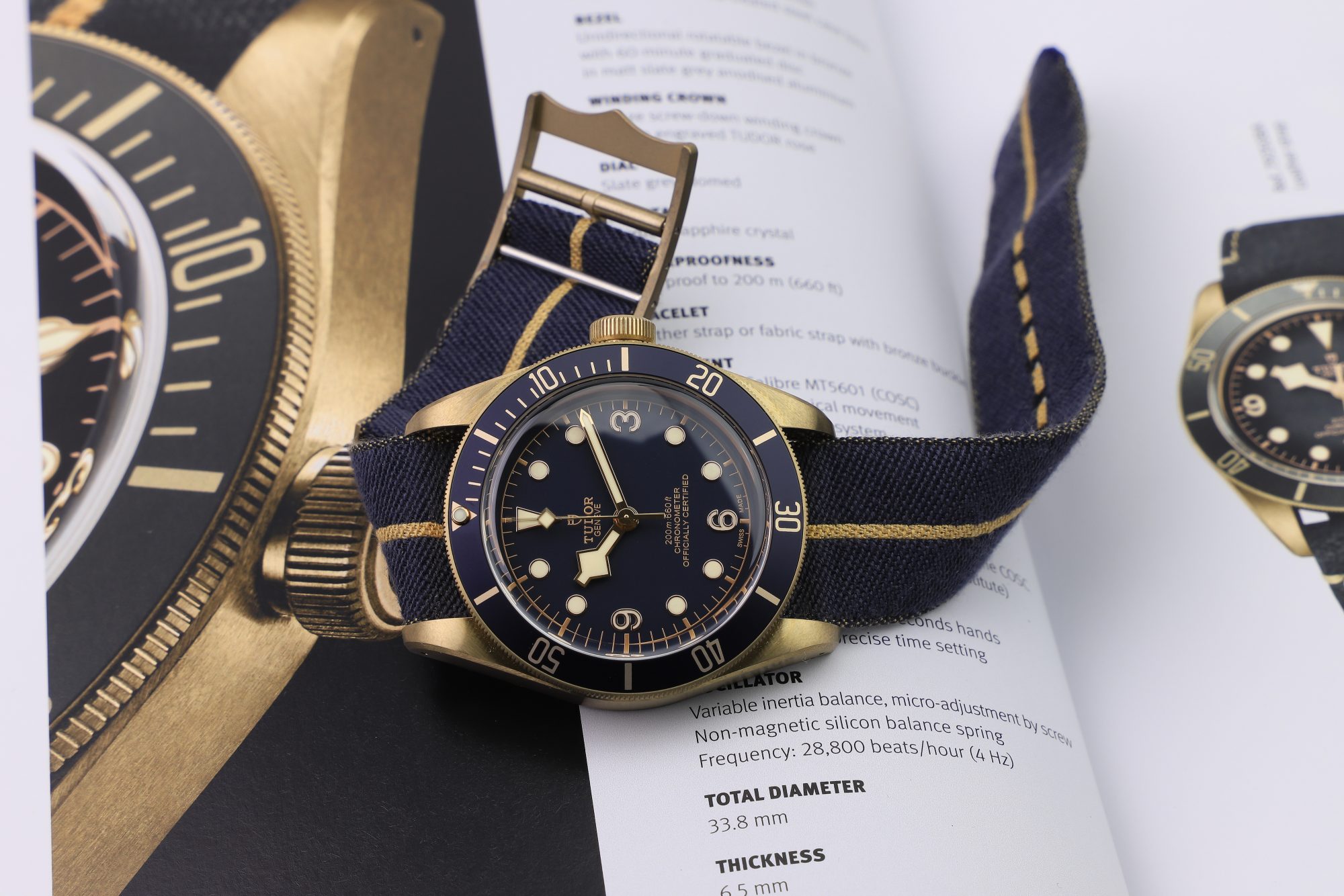 Tudor Black Bay Bronze Butcherer 79250BB