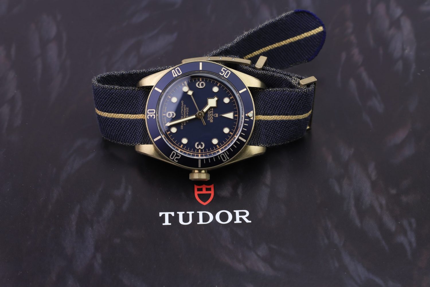 Tudor Black Bay Bronze Butcherer 79250BB