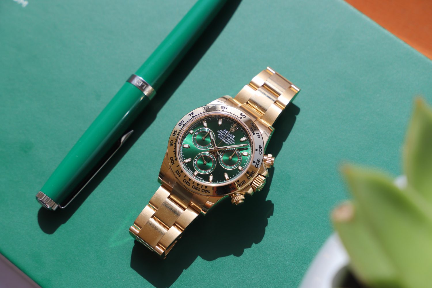 gold daytona with green face