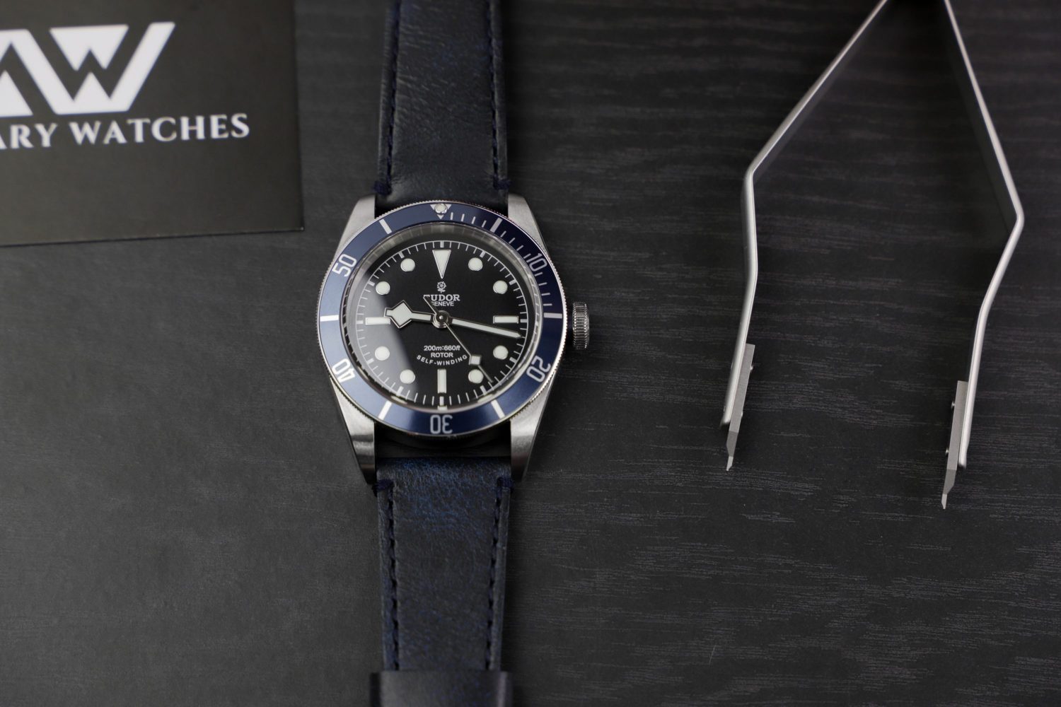 Tudor Heritage Black Bay 79220B