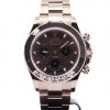 Rolex Daytona Cosmograph Everose Gold Chocolate Dial 116505 New 2021
